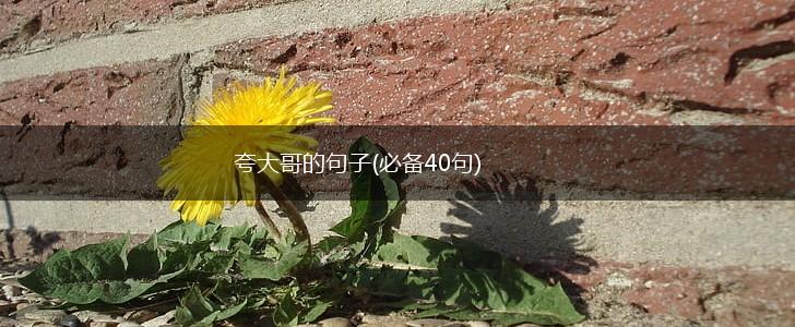 夸大哥的句子(必备40句),第1张