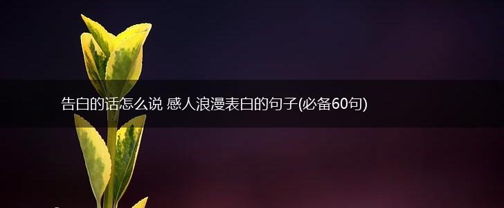 告白的话怎么说 感人浪漫表白的句子(必备60句),第1张