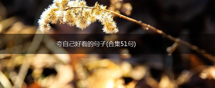 夸自己好看的句子(合集51句),第1张