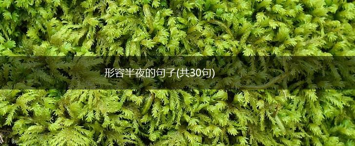形容半夜的句子(共30句),第1张
