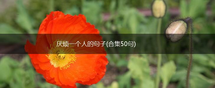 厌烦一个人的句子(合集50句),第1张