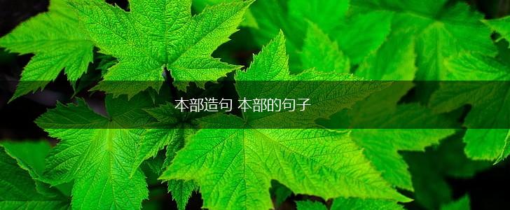 本部造句 本部的句子,第1张