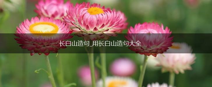 长白山造句_用长白山造句大全,第1张
