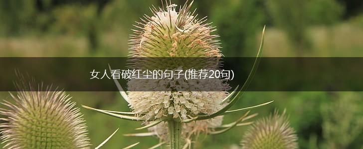 女人看破红尘的句子(推荐20句),第1张