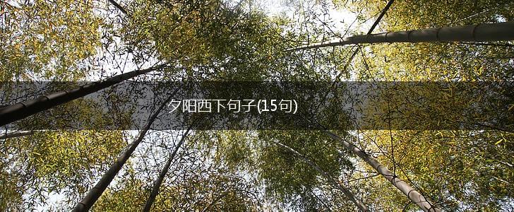 夕阳西下句子(15句),第1张