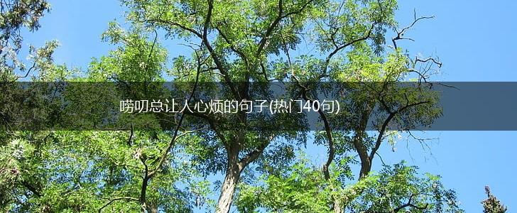唠叨总让人心烦的句子(热门40句),第1张