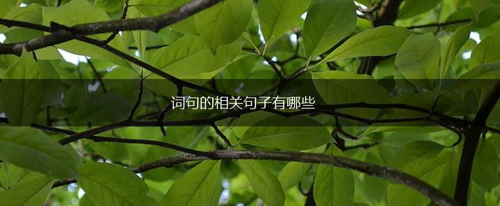词句的相关句子有哪些,第1张