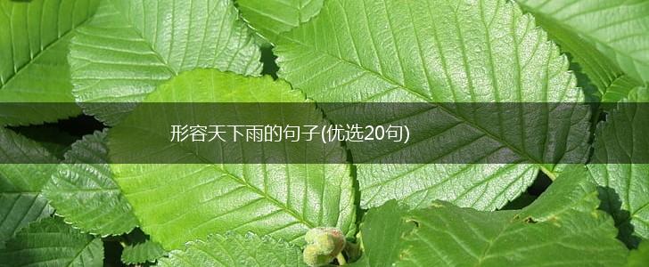 形容天下雨的句子(优选20句),第1张