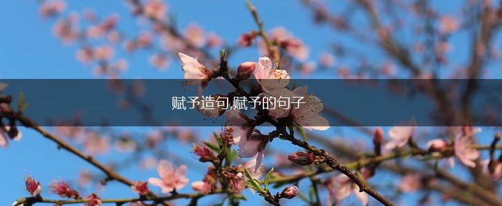 赋予造句,赋予的句子,第1张 赋予造句,赋予的句子,第1张