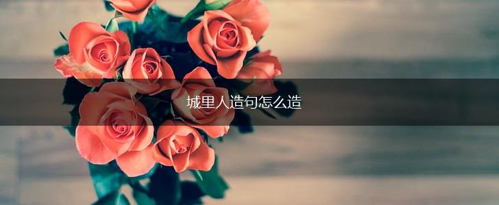 城里人造句怎么造,第1张