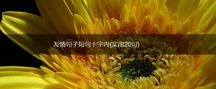 友情句子短句十字内(实用20句),第1张