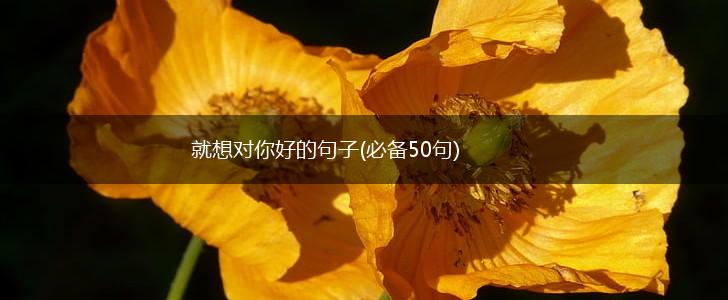 就想对你好的句子(必备50句),第1张