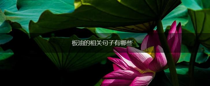 板油的相关句子有哪些,第1张