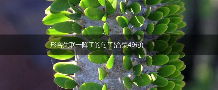 形容失联一阵子的句子(合集49句),第1张