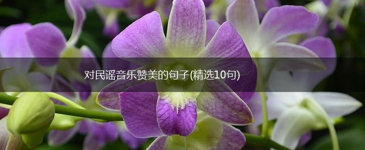 对民谣音乐赞美的句子(精选10句),第1张