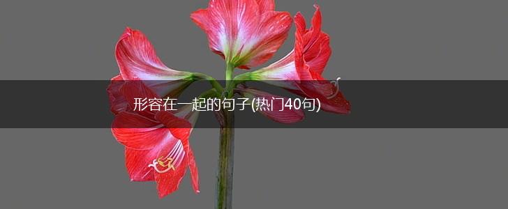 形容在一起的句子(热门40句),第1张
