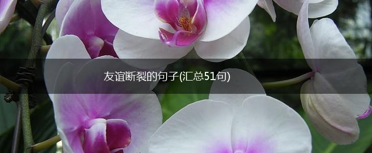 友谊断裂的句子(汇总51句),第1张