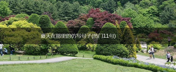 夏天在那里的仿写句子(热门11句),第1张
