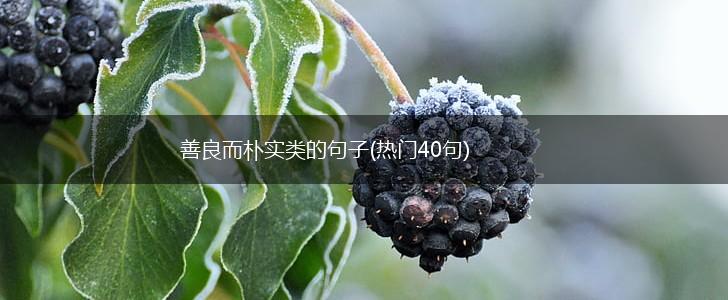 善良而朴实类的句子(热门40句),第1张