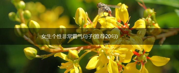 女生个性非常霸气句子(推荐20句),第1张