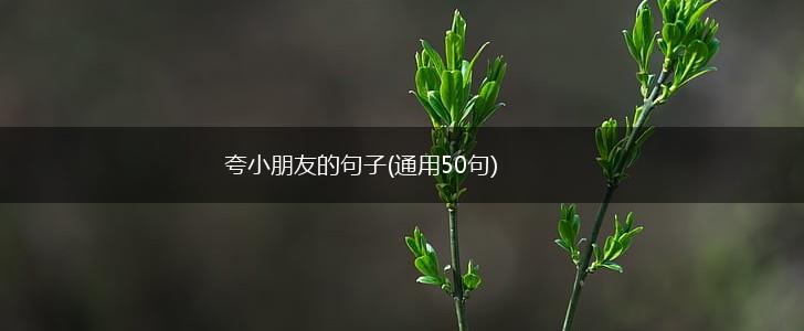 夸小朋友的句子(通用50句),第1张