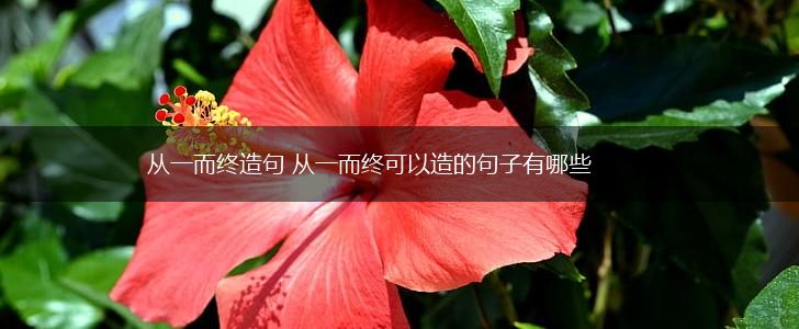 从一而终造句 从一而终可以造的句子有哪些,第1张