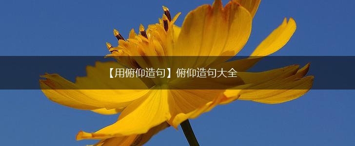 【用俯仰造句】俯仰造句大全,第1张 【用俯仰造句】俯仰造句大全,第1张