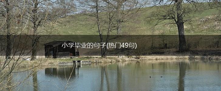 小学毕业的句子(热门49句),第1张
