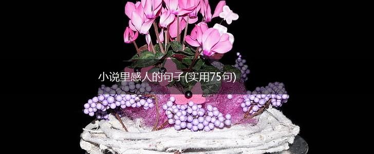 小说里感人的句子(实用75句),第1张