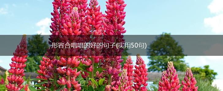 形容合唱唱的好的句子(实用50句),第1张