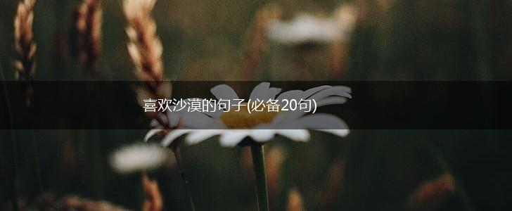 喜欢沙漠的句子(必备20句),第1张
