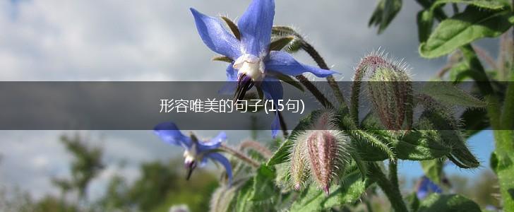 形容唯美的句子(15句),第1张