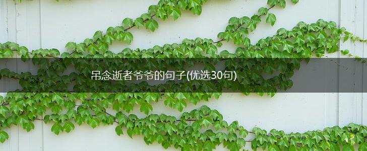 吊念逝者爷爷的句子(优选30句),第1张