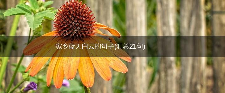 家乡蓝天白云的句子(汇总21句),第1张