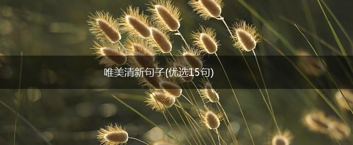 唯美清新句子(优选15句),第1张