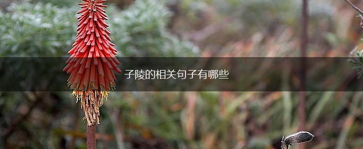 子陵的相关句子有哪些,第1张