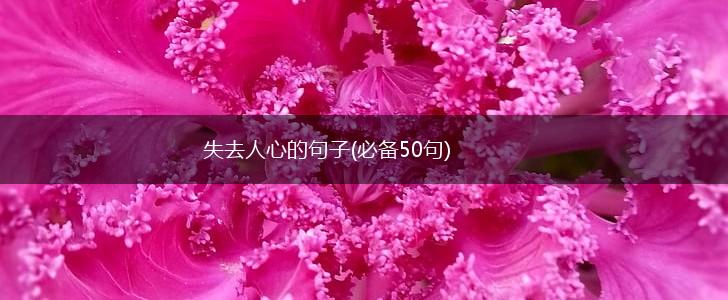 失去人心的句子(必备50句),第1张