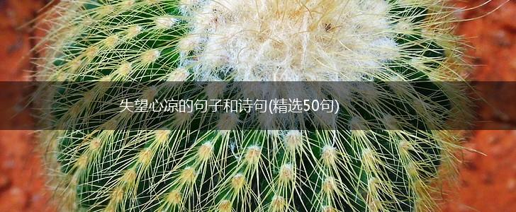 失望心凉的句子和诗句(精选50句),第1张