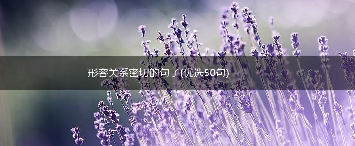 形容关系密切的句子(优选50句),第1张