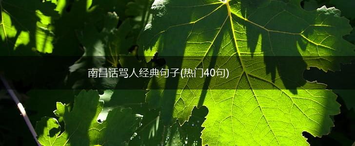 南昌话骂人经典句子(热门40句),第1张
