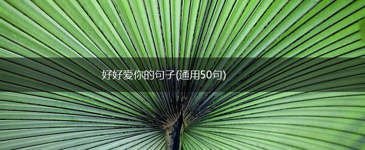 好好爱你的句子(通用50句),第1张