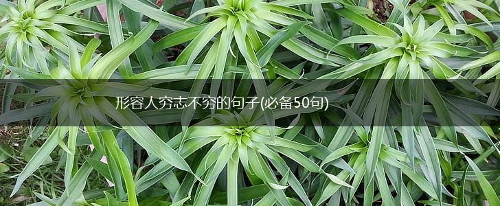 形容人穷志不穷的句子(必备50句),第1张