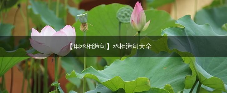 【用丞相造句】丞相造句大全,第1张