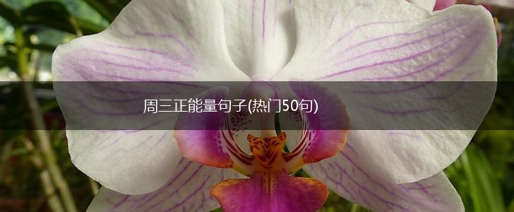 周三正能量句子(热门50句),第1张