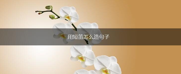 用短笛怎么造句子,第1张 用短笛怎么造句子,第1张