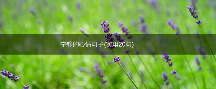宁静的心情句子(实用20句),第1张