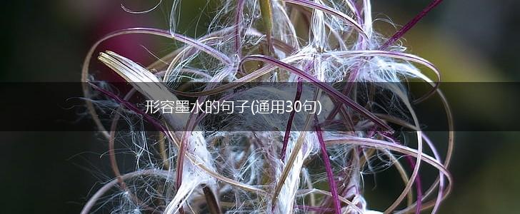 形容墨水的句子(通用30句),第1张