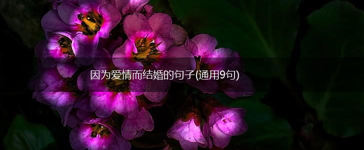 因为爱情而结婚的句子(通用9句),第1张
