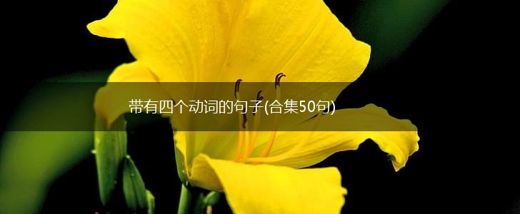 带有四个动词的句子(合集50句),第1张