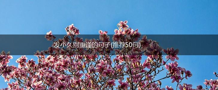 发小久别重逢的句子(推荐50句),第1张